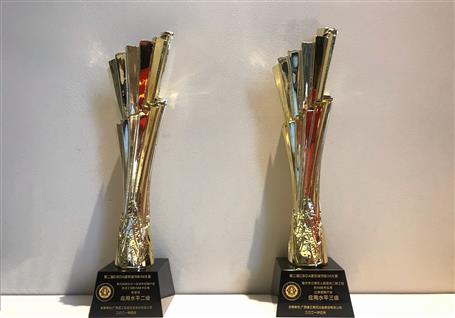 喜訊！公司捧回兩座國(guó)家級(jí)BIM技術(shù)應(yīng)用獎(jiǎng)杯