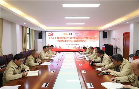 廖立波、唐峰、何勇以普通黨員身份參加所在黨支部2022年度組織生活會